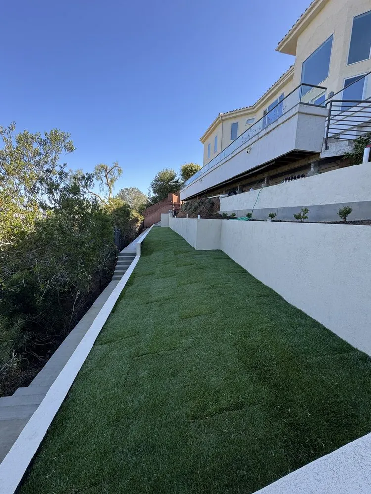 Expert lawn care service experts serving Escondido, CA - Santiago's Landscaping