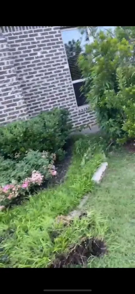 Local yard cleanup service for homes in Lewisville, TX by Santiago’s Landscaping