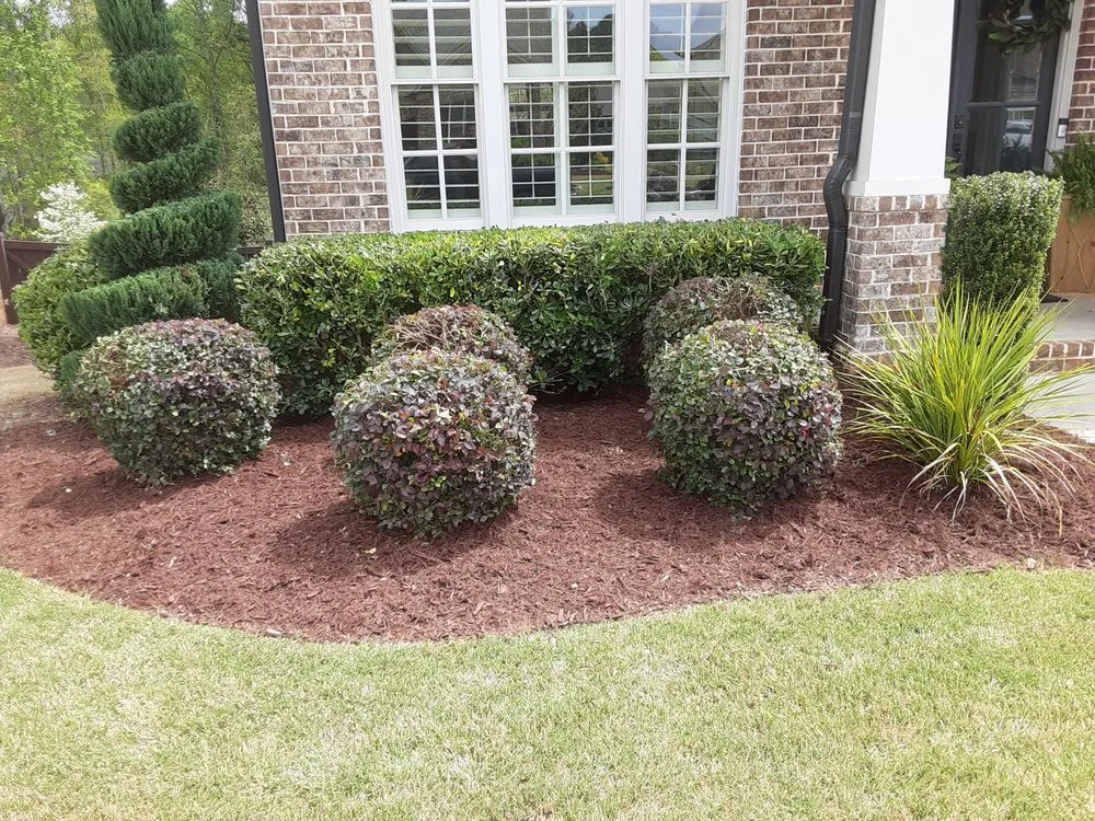 Expert landscaping services for homes in Mableton, GA by Santiago's landscaping