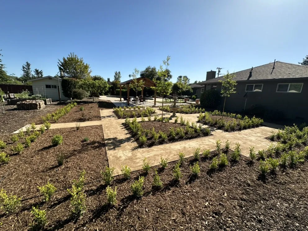 Local yard cleanup service for year-round maintenance in Santa Rosa, CA by Santiago’s Landscaping
