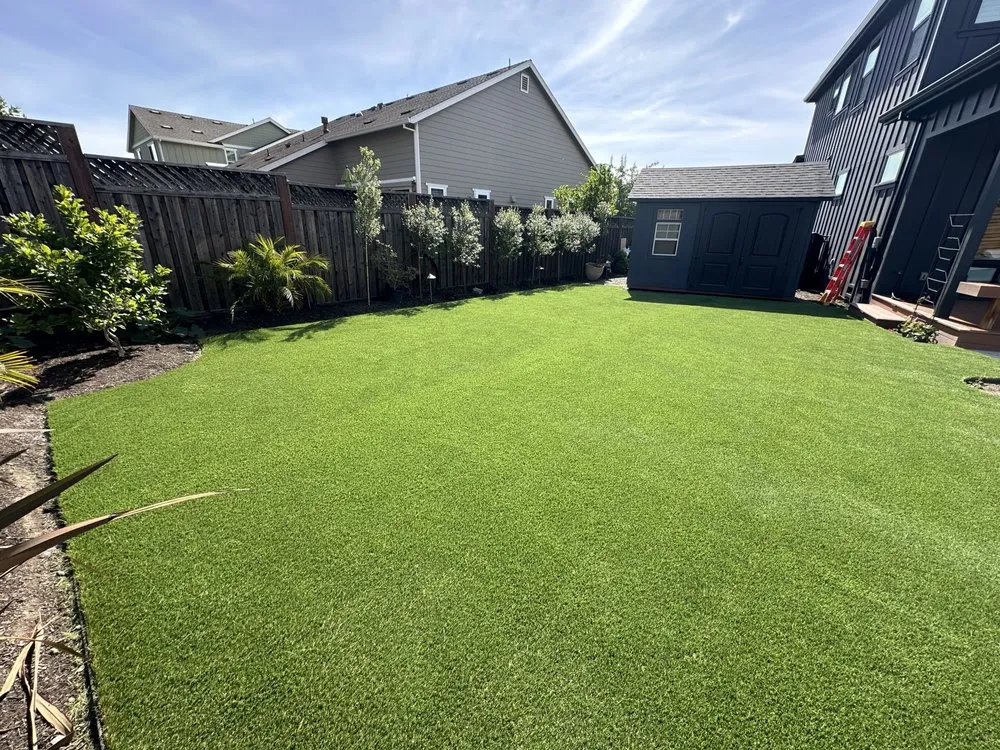 Local yard cleanup service for homes in Santa Rosa, CA by Santiago’s Landscaping