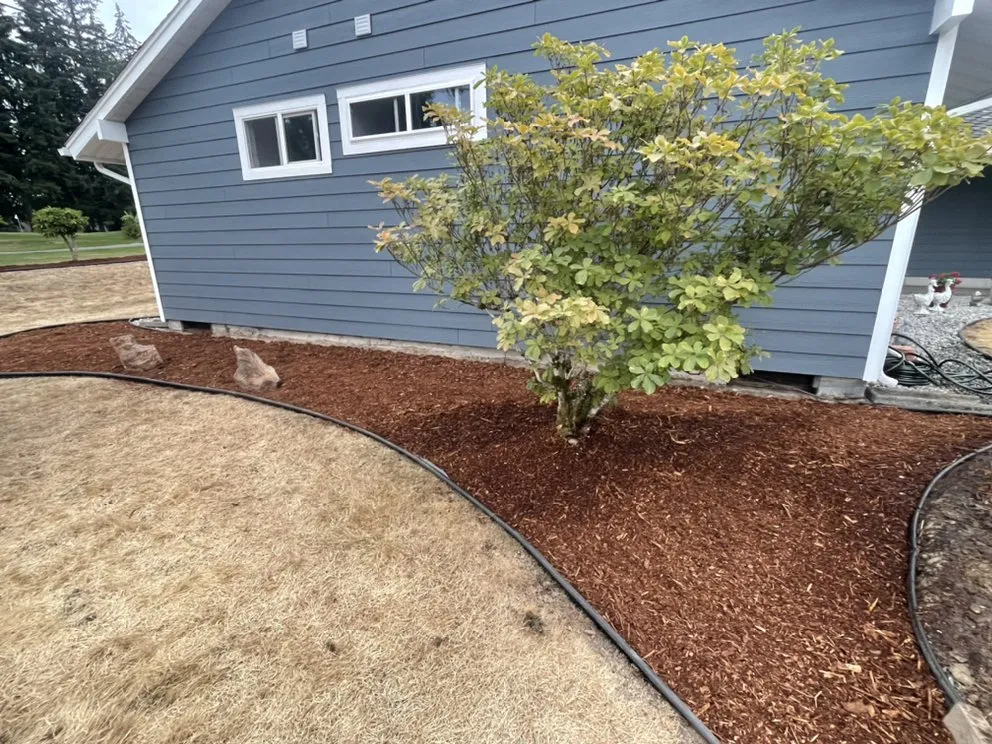 Professional landscape design in Seattle, WA by Santiago’s Landscaping