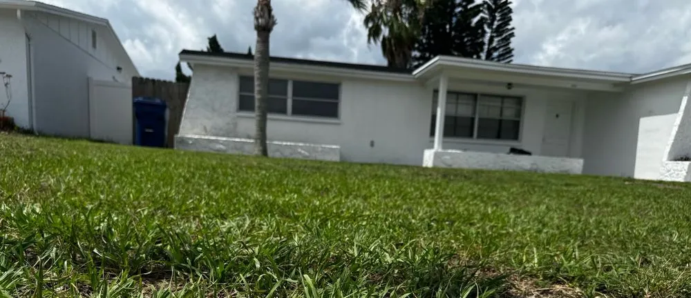 Reliable residential landscaping experts serving Tarpon Springs, FL - Santiago‘s Luxury Lawn Company