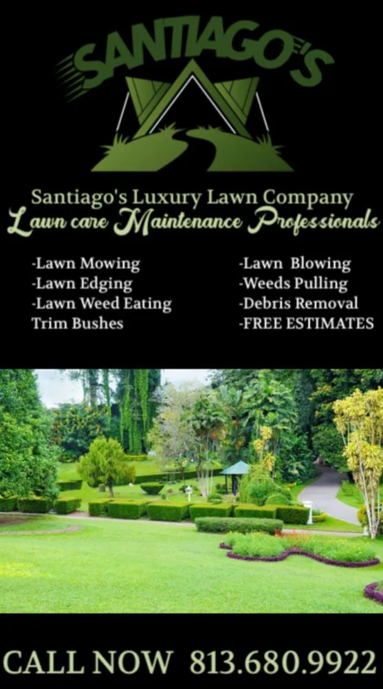 Local yard maintenance experts serving Tarpon Springs, FL - Santiago‘s Luxury Lawn Company