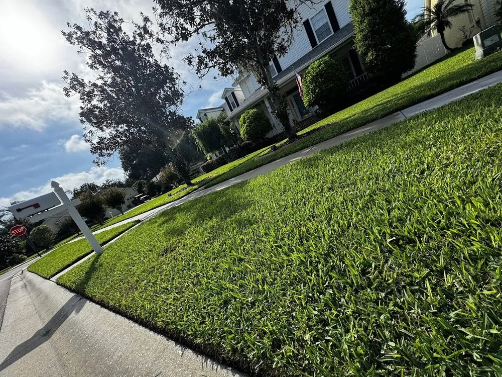 Trusted outdoor landscaping for beautiful yards across Tarpon Springs, FL - Santiago's Luxury LawnCare