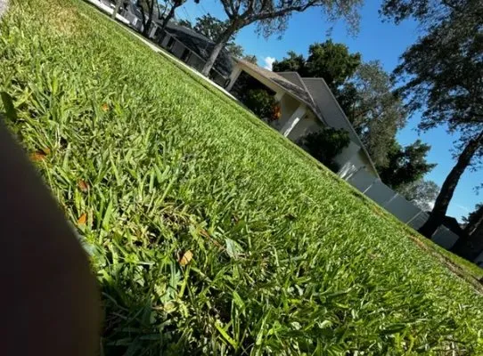 Santiago's Luxury LawnCare Logo