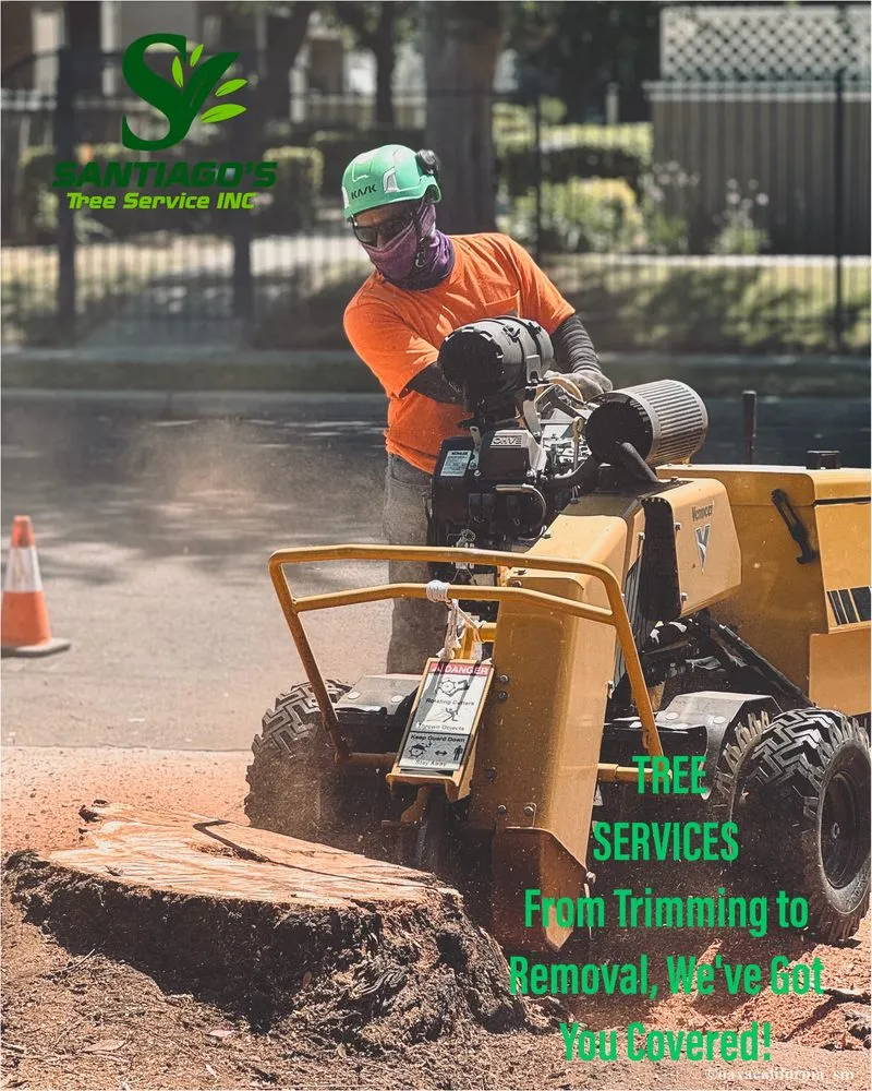 Professional outdoor landscaping near you across Fresno, CA - Santiago’s tree service