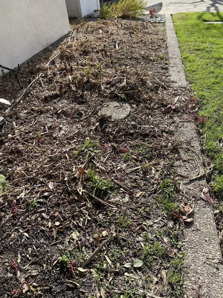 Top-rated yard maintenance in Stockton, CA by Santibañez Lanscaping