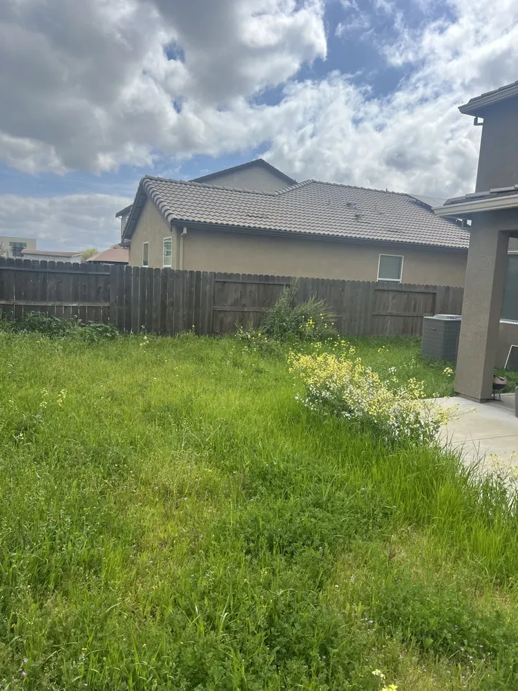 Top-rated landscaping services in Stockton, CA - Santibañez Lanscaping