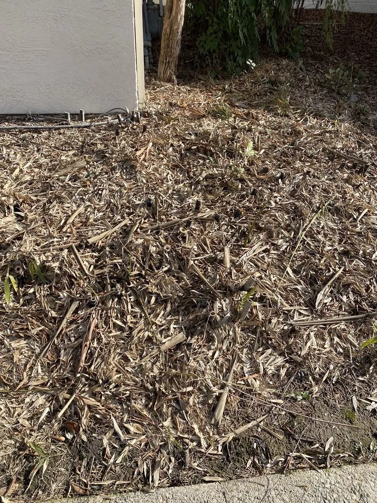 Affordable garden landscaping in Stockton, CA - Santibañez Lanscaping