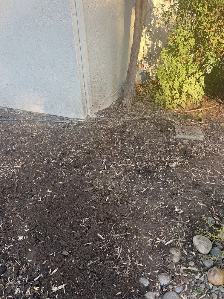 Custom lawn care service in Stockton, CA - Santibañez Lanscaping