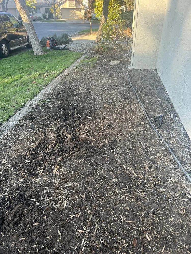 Top-rated yard maintenance for outdoor upgrades across Stockton, CA - Santibañez Lanscaping