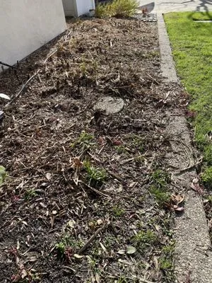 Santibañez Lanscaping Logo