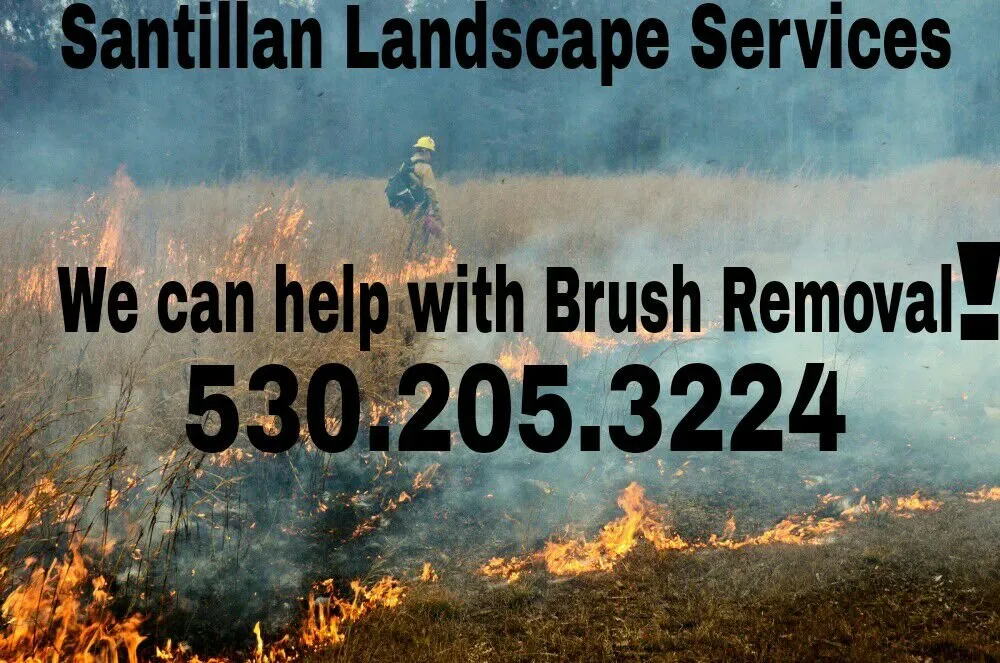 Local lawn mowing service for residential properties in Pollock Pines, CA by Santillan Landscape Services