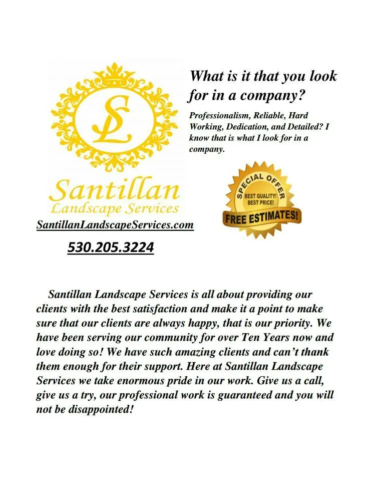 Trusted yard cleanup service for homes in Pollock Pines, CA by Santillan Landscape Services