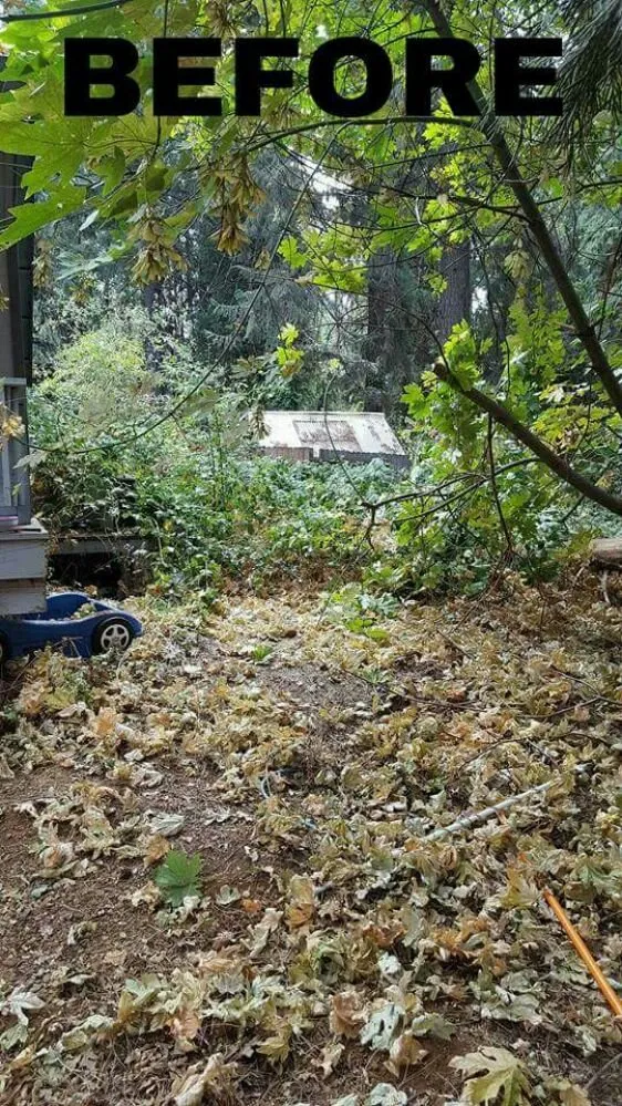 Local residential landscaping in Pollock Pines, CA by Santillan Landscape Services