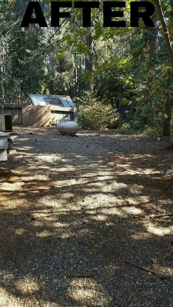 Custom outdoor landscaping for year-round maintenance across Pollock Pines, CA - Santillan Landscape Services