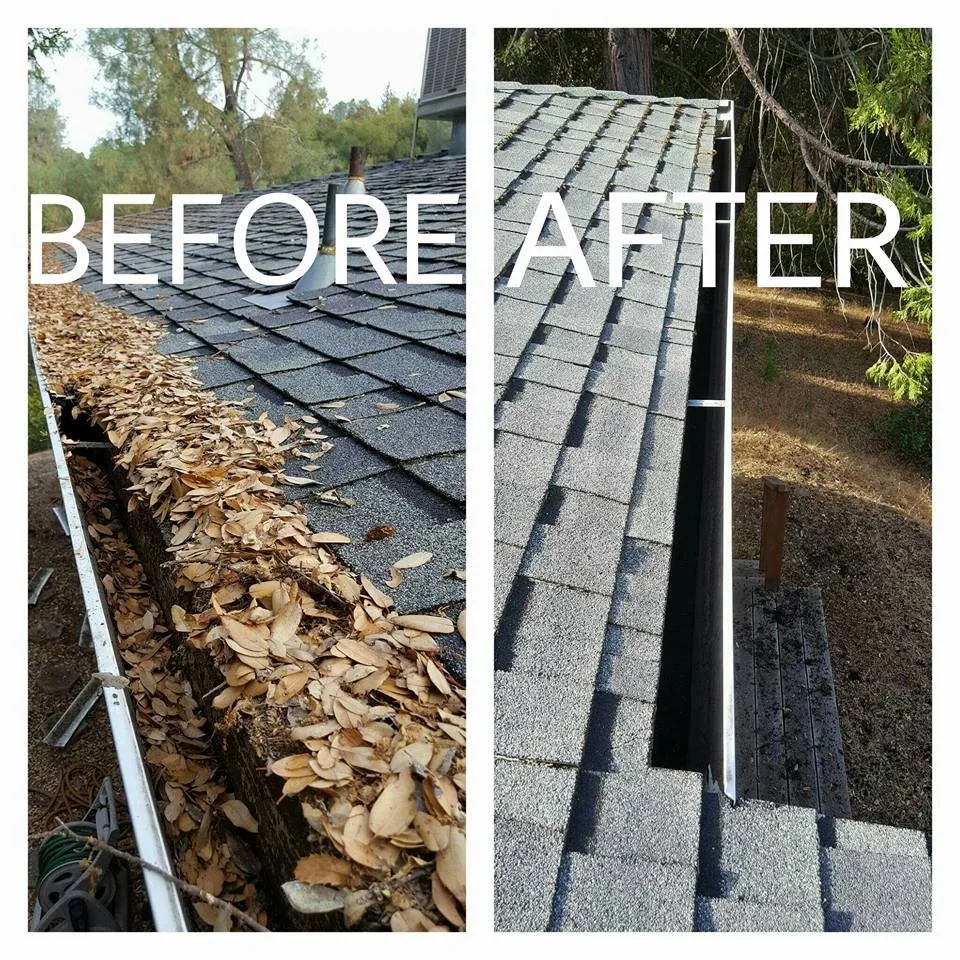 Top-rated yard cleanup service for beautiful yards in Pollock Pines, CA by Santillan Landscape Services