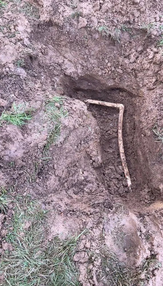 Expert residential landscaping near you across Rancho Cucamonga, CA - Santino’s Landscaping and Lawn Service