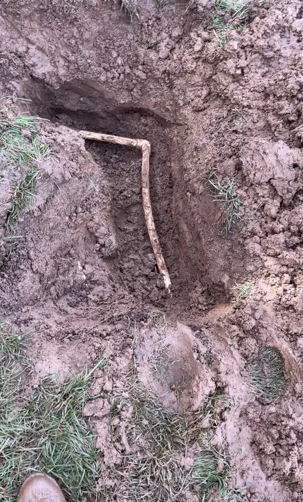 Top-rated yard cleanup service experts serving Rancho Cucamonga, CA - Santino’s Landscaping and Lawn Service