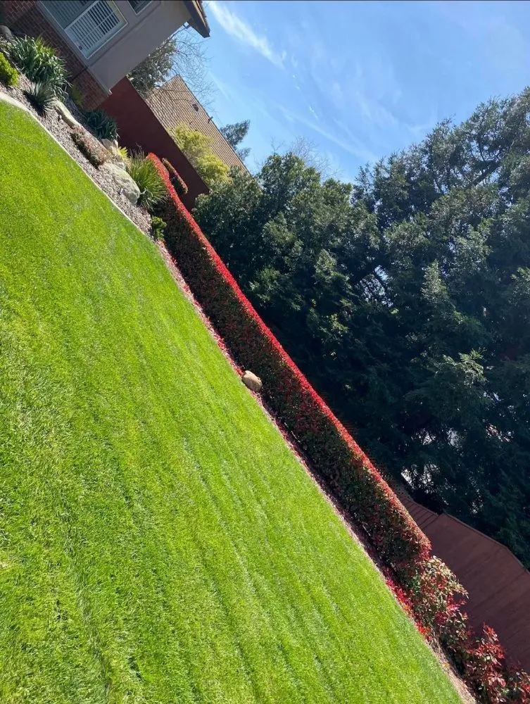 Top-rated lawn care service for residential properties in Sacramento, CA by Santi's Garden Service