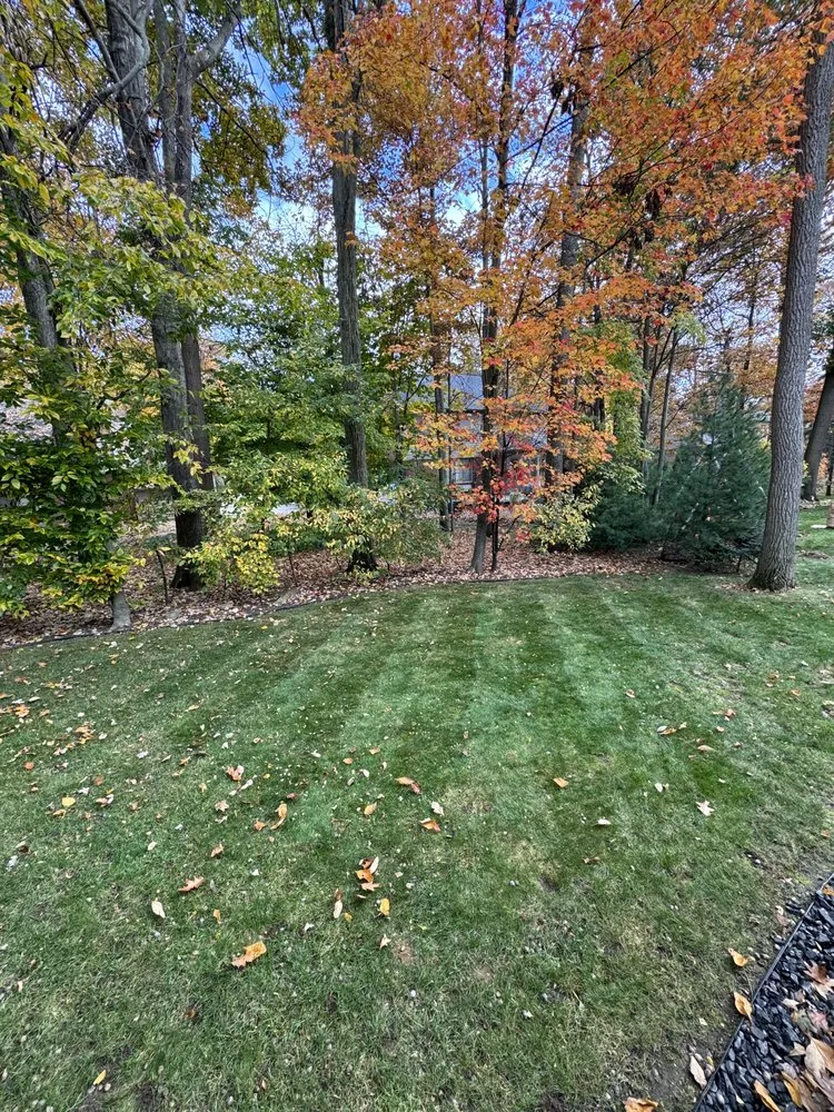 Expert landscape installation in Sterling Heights, MI by Santis Property Maintenance