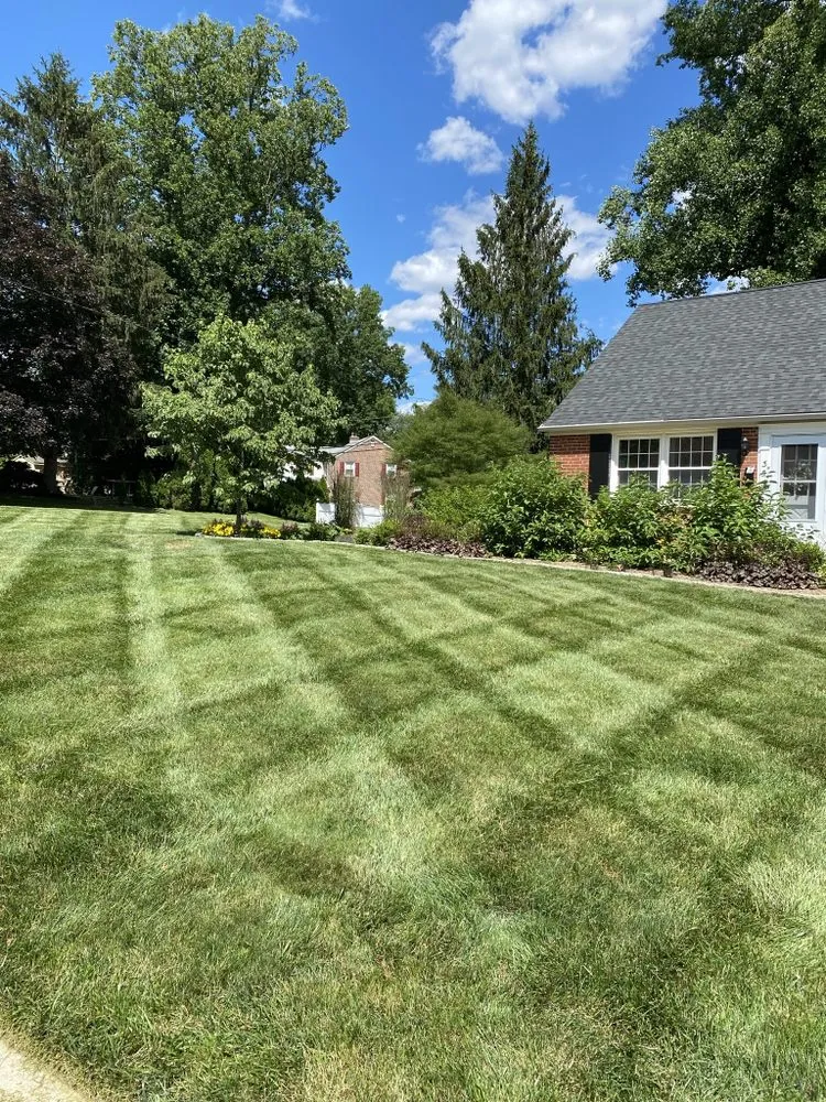 Expert lawn mowing service in Springfield, PA by Santivasci Landscaping