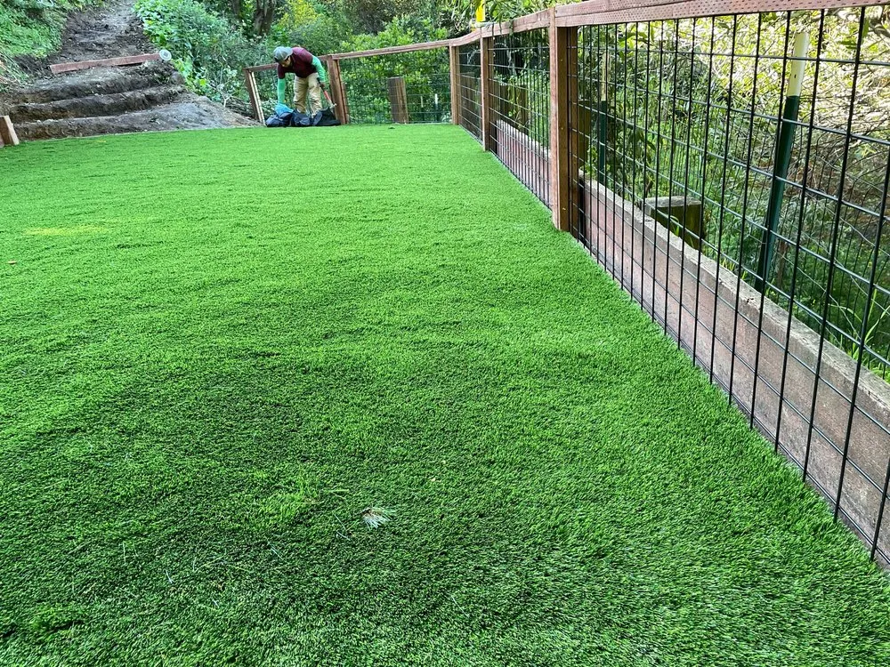 Reliable lawn care service for residential properties across San Rafael, CA - Santizo General Landscape construction