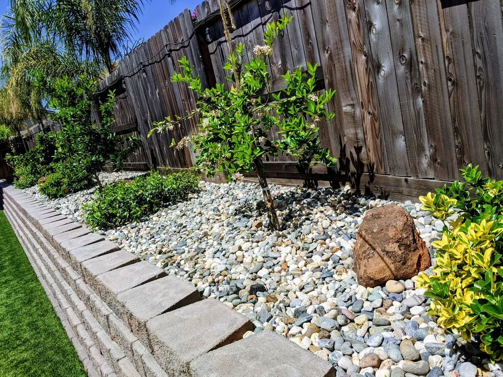 Professional lawn care service for year-round maintenance in Roseville, CA by Santo Tomas Landscape