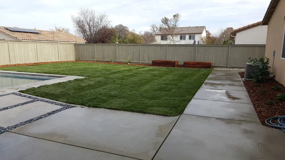 Top-rated yard cleanup service for homes across Roseville, CA - Santo Tomas Landscape