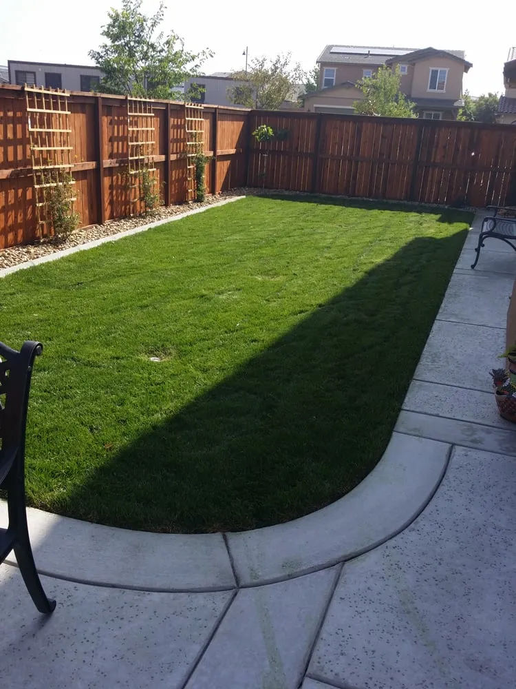 Custom yard maintenance for year-round maintenance in Roseville, CA by Santo Tomas Landscape