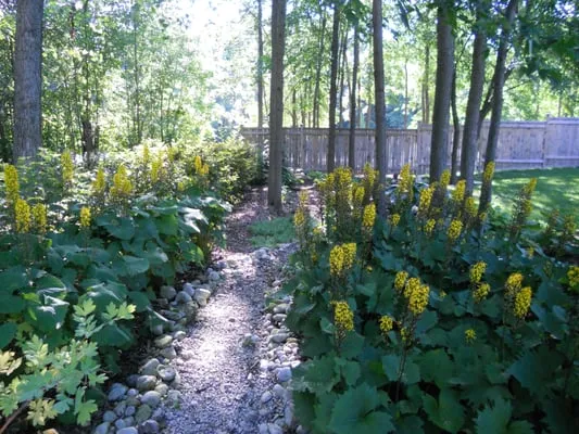 Santoriello Landscape Maintenance Logo