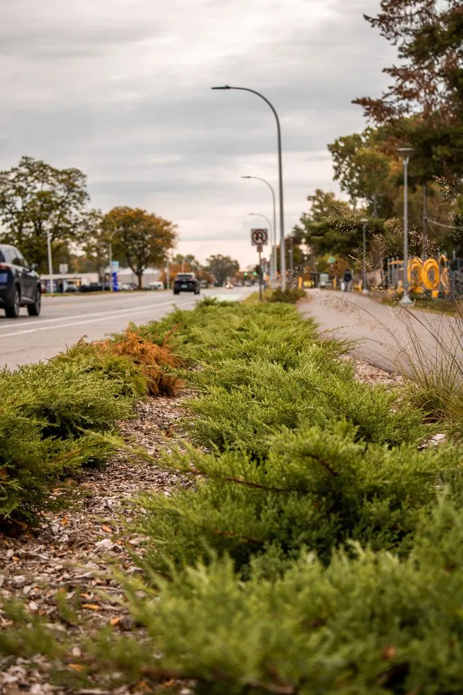 Expert landscape design experts serving New Baltimore, MI - Santoro Services