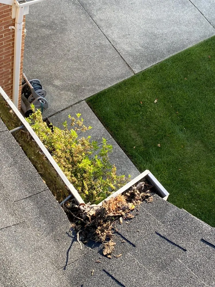 Reliable landscaping services with custom design across Bowie, MD - Santos and Son