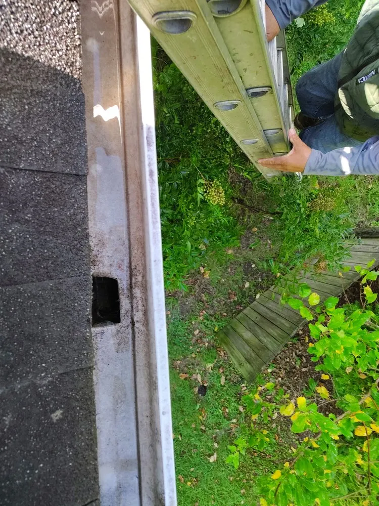 Affordable yard cleanup service for residential properties across Bowie, MD - Santos and Son