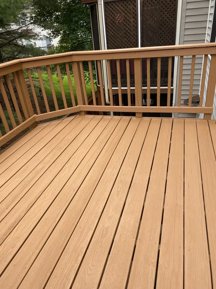 Expert yard cleanup service near you across Bowie, MD - Santos and Son