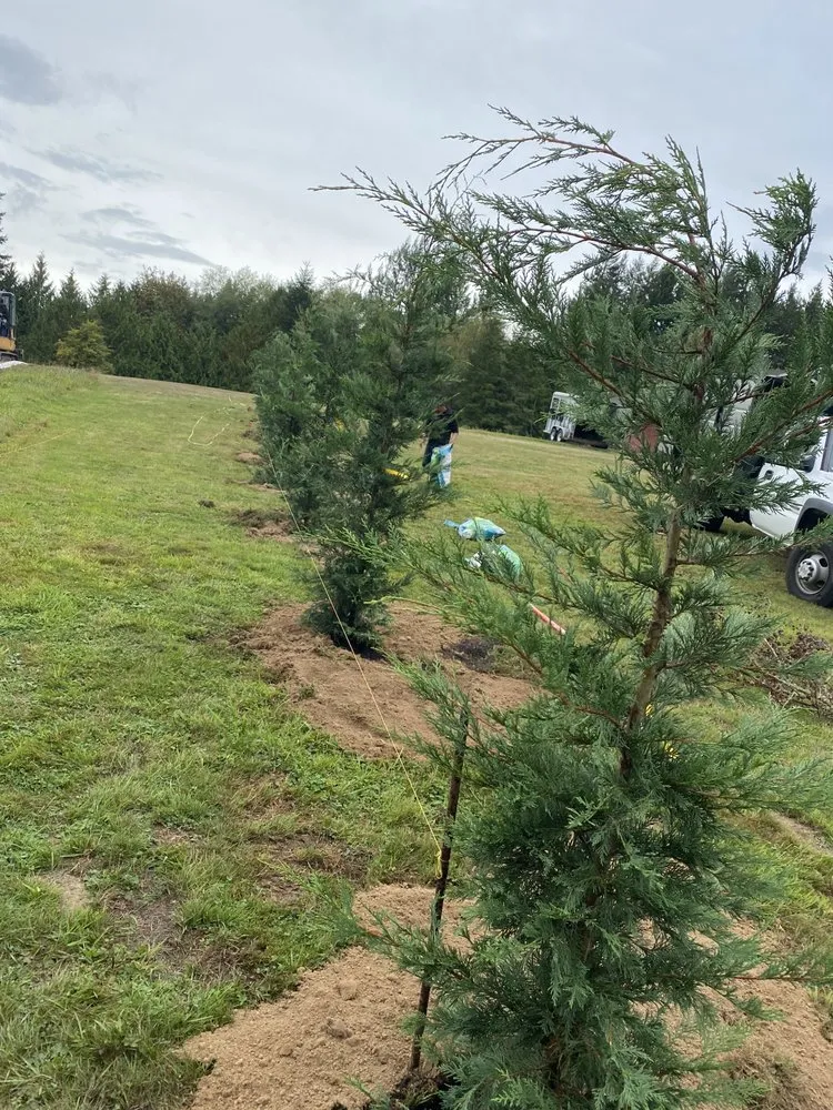 Expert landscape installation for year-round maintenance across Bremerton, WA - Santos Carrillo Landscaping