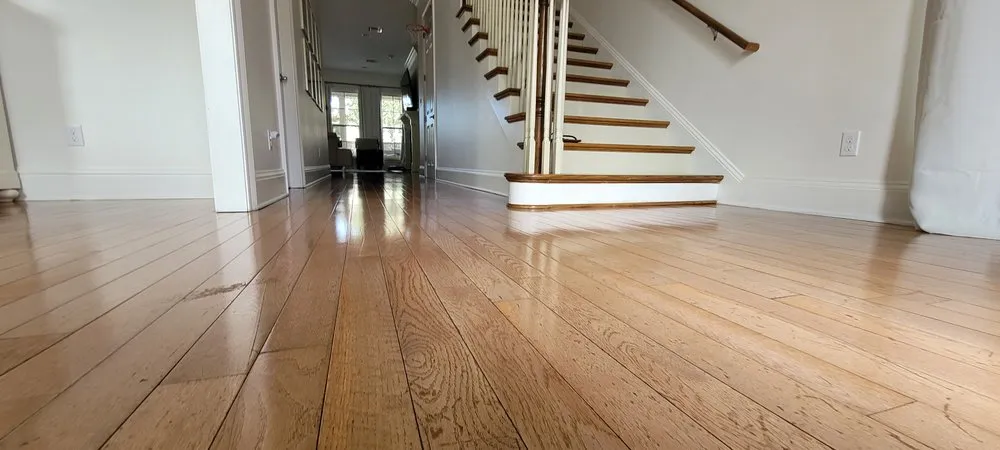 Professional yard cleanup service near you in Kenner, LA by Santos Cleaning Services