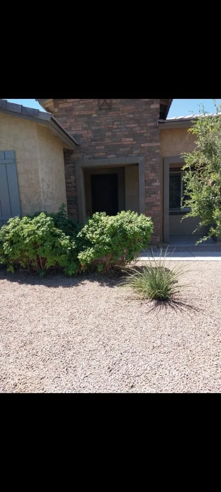 Expert residential landscaping in Phoenix, AZ by Santos General Landscaping
