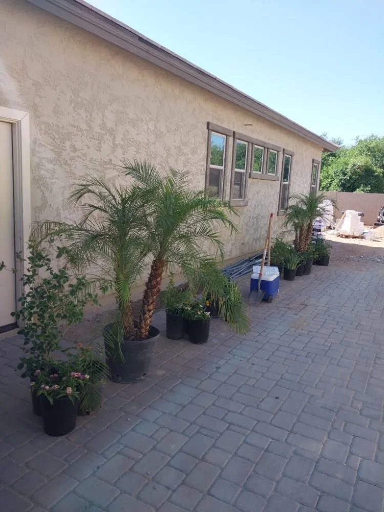 Expert outdoor landscaping for residential properties in Phoenix, AZ by Santos General Landscaping