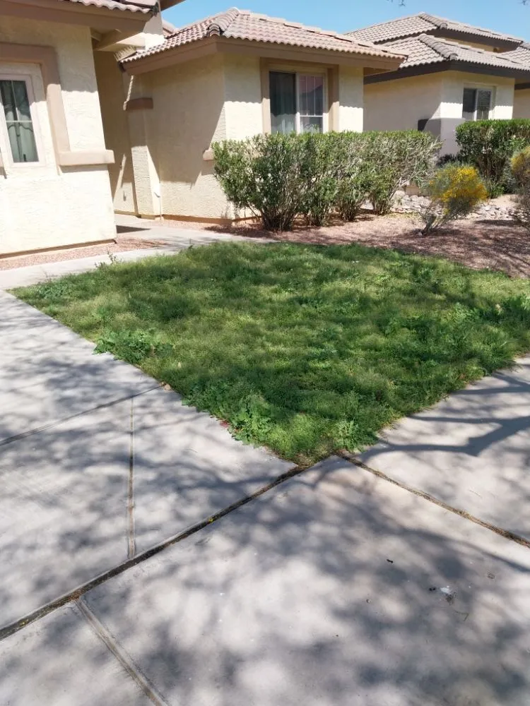 Affordable yard maintenance in Phoenix, AZ - Santos General Landscaping