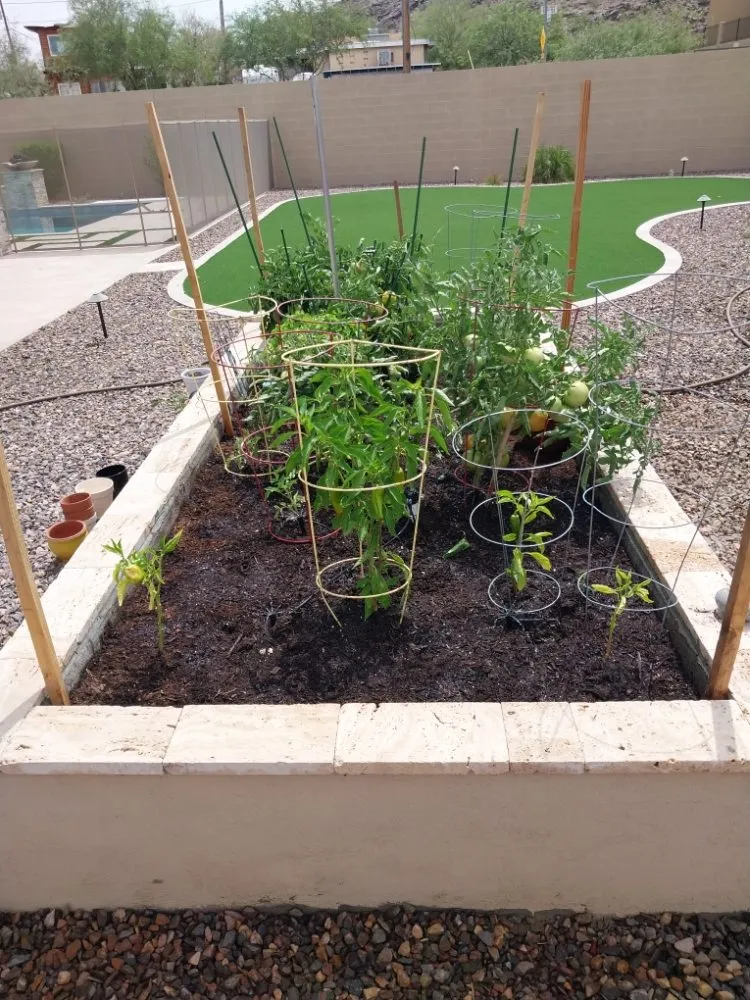 Trusted landscaping services in Phoenix, AZ - Santos General Landscaping