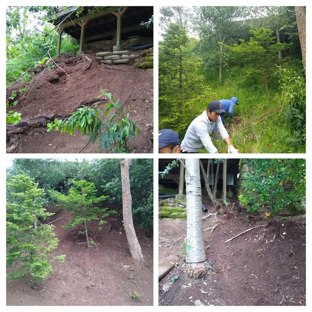 Expert residential landscaping for outdoor upgrades in San Francisco, CA by Santos Hauling