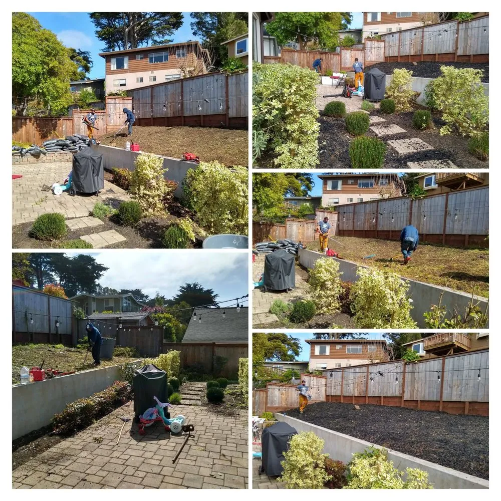 Expert yard maintenance near you in San Francisco, CA by Santos Hauling