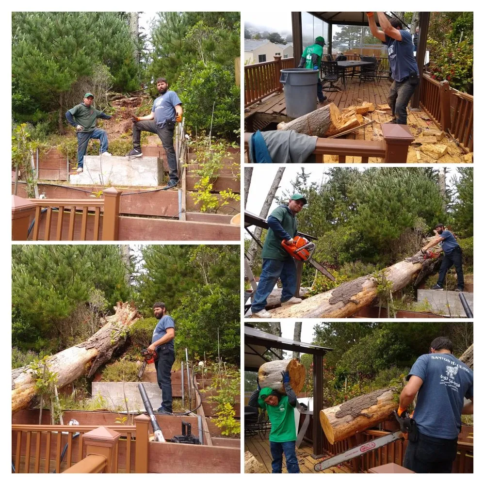 Expert residential landscaping in San Francisco, CA - Santos Hauling