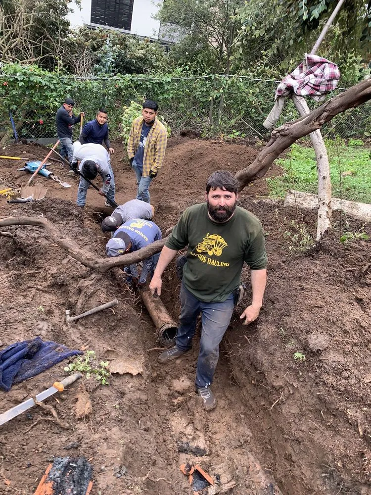 Professional yard maintenance in San Francisco, CA by Santos Hauling