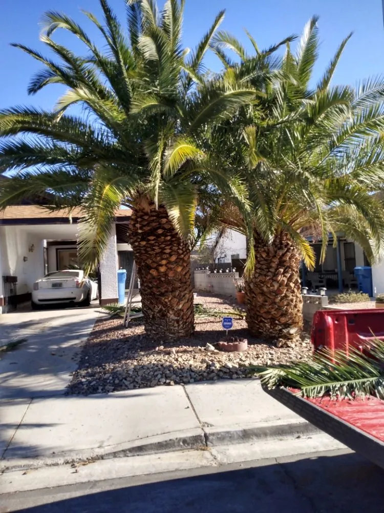 Top-rated landscape design for residential properties across North Las Vegas, NV - Santos Landscape