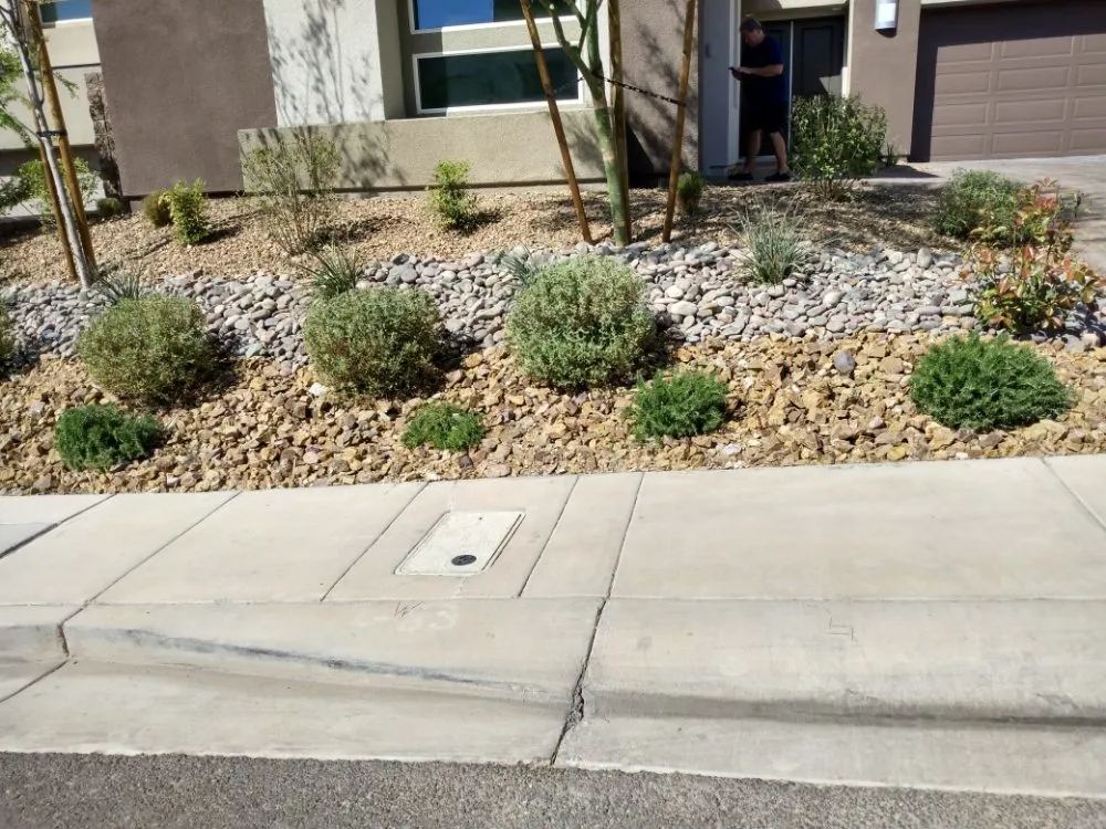 Expert yard maintenance experts serving North Las Vegas, NV - Santos Landscape