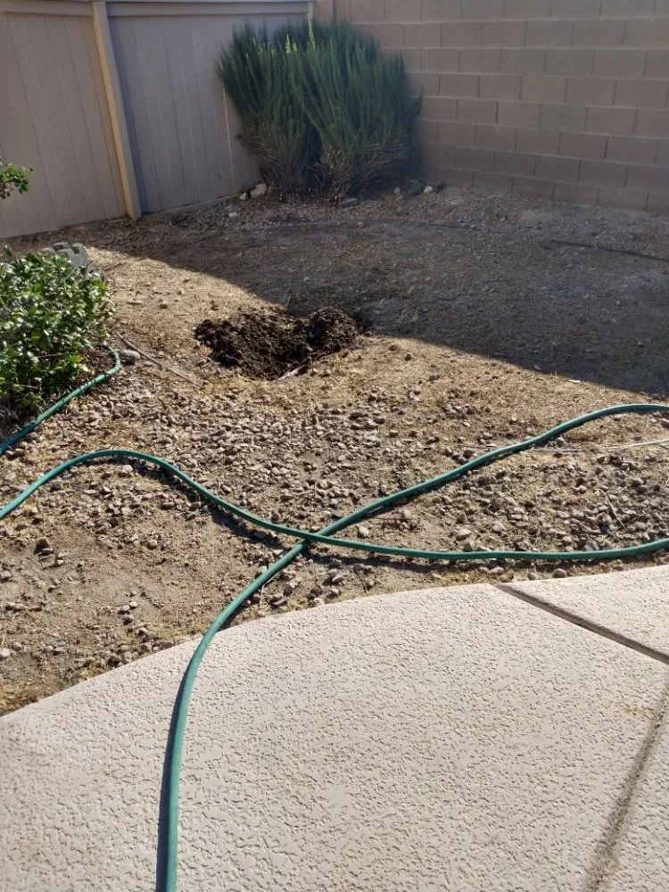 Expert landscape design experts serving North Las Vegas, NV - Santos Landscape