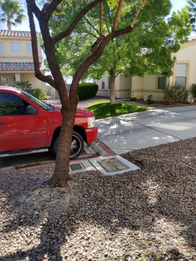 Expert yard maintenance for residential properties in North Las Vegas, NV by Santos Landscape